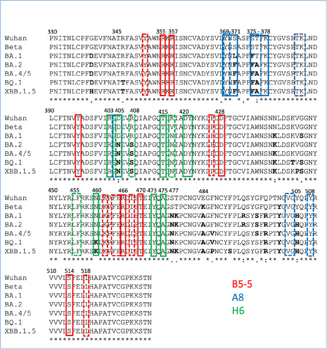 Alignment of the RBDs of SARS-CoV-2 variants annotated with key nanobody interacting residues determined by in silico analysis