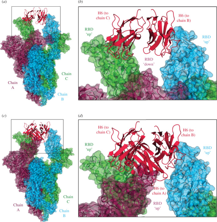 EM data of spike–Nb complexes