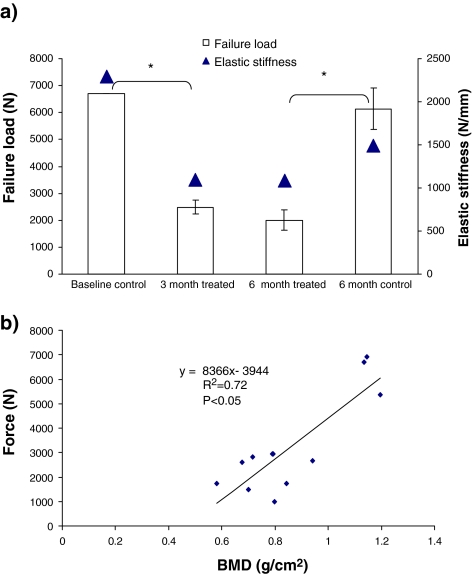 Fig. 6