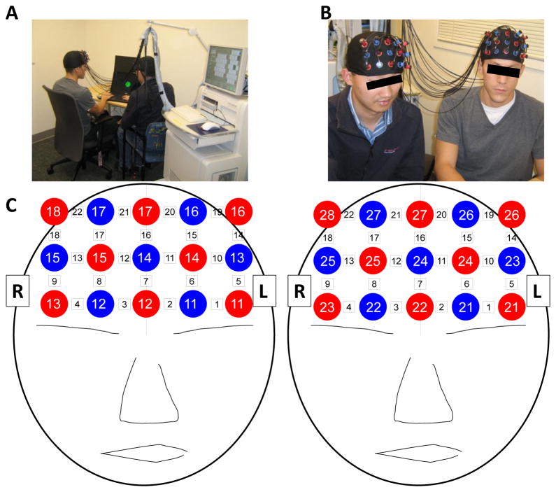 Figure 2