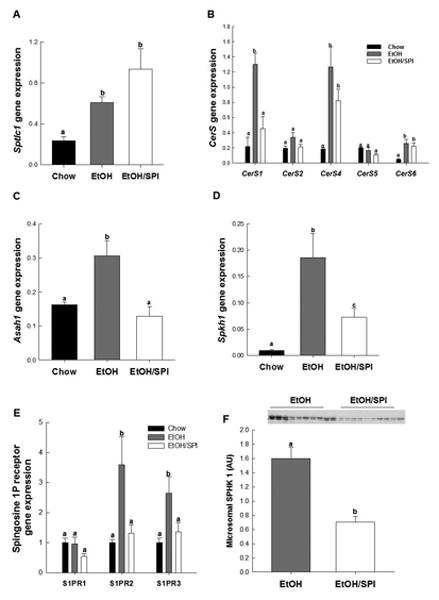 Fig.4