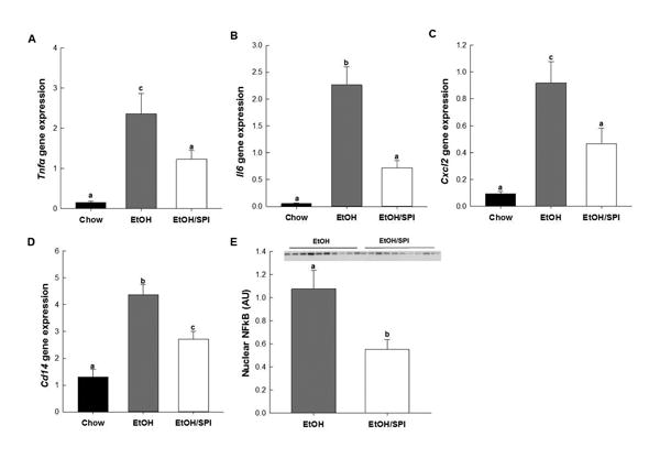 Fig.2