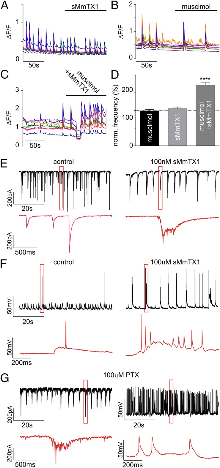 Fig. 7.