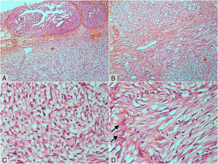 Figure 2