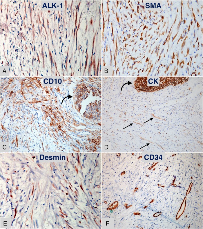 Figure 3