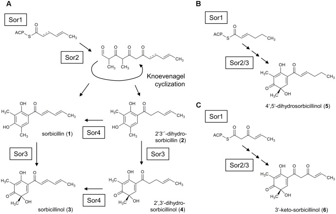 FIGURE 9