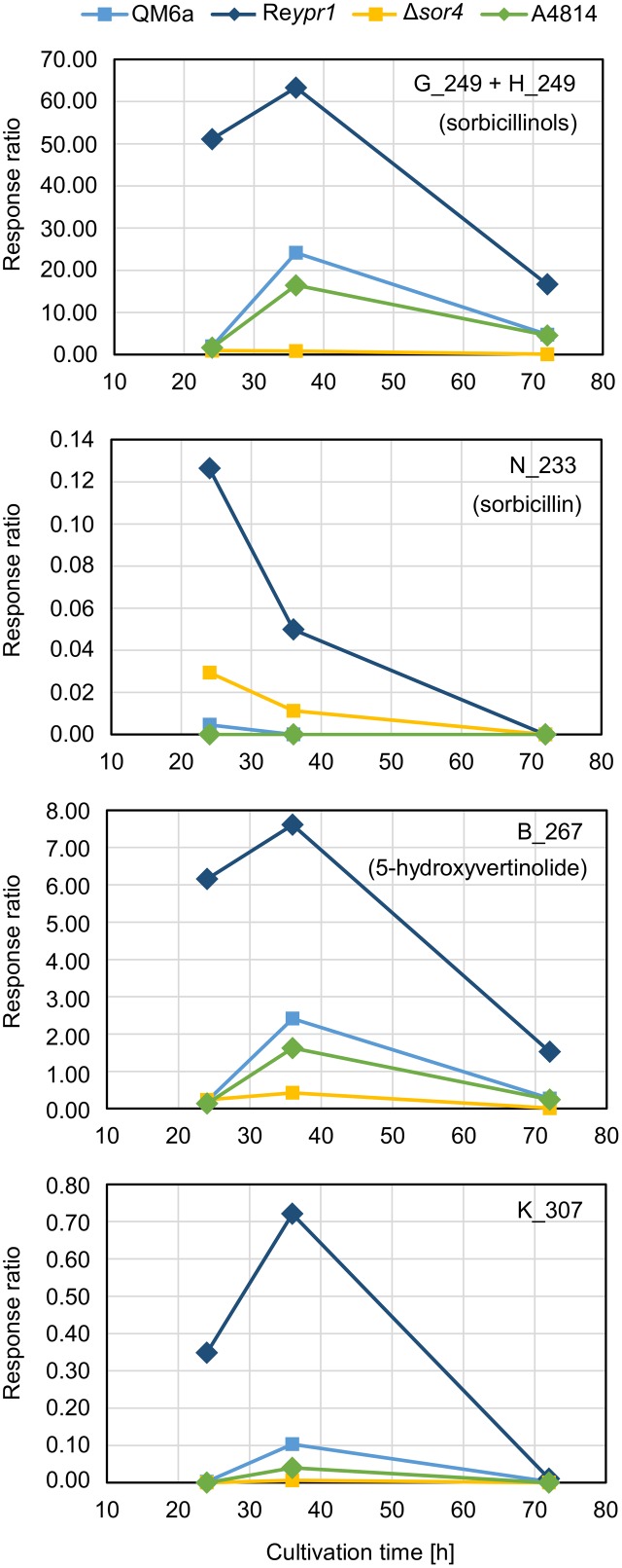 FIGURE 4