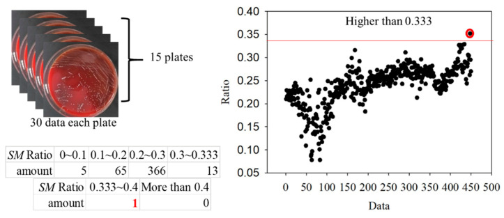 Figure 16