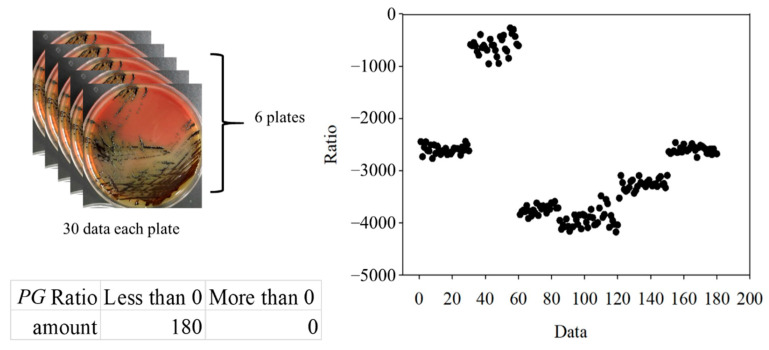 Figure 17