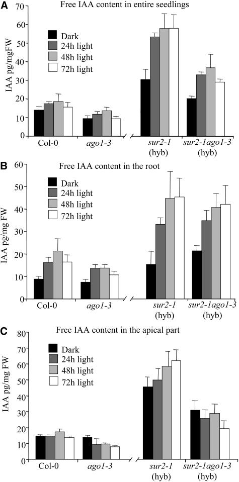 Figure 6.