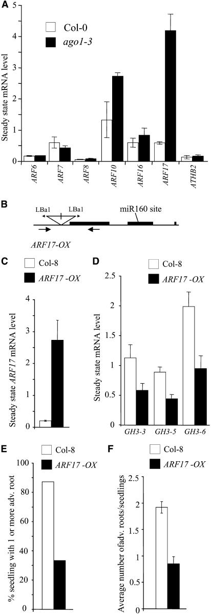 Figure 10.