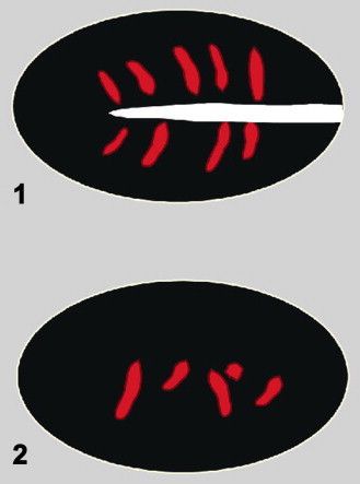 Fig. 2