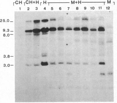 graphic file with name pnas00349-0280-a.jpg