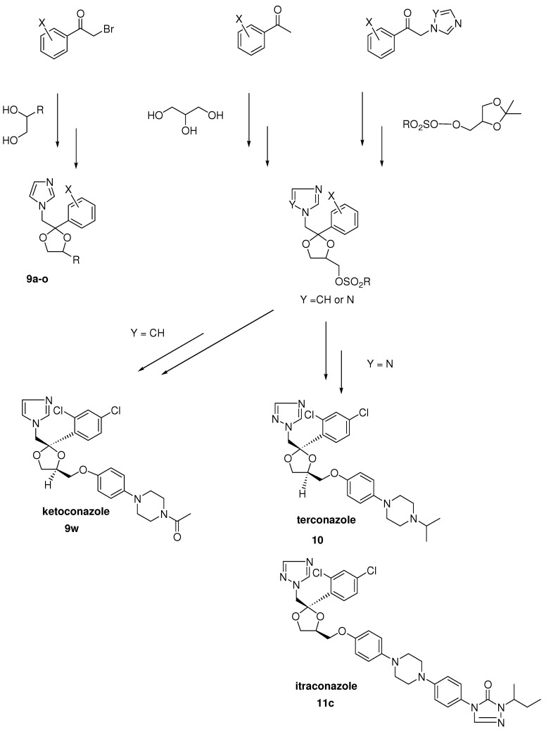 Scheme 2