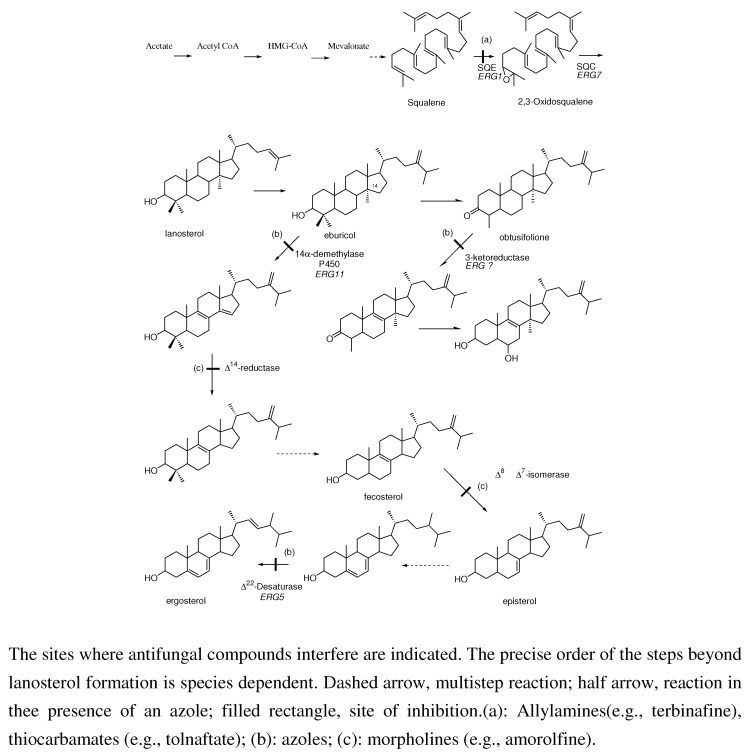 Scheme 5