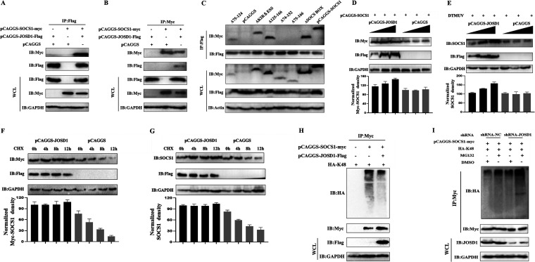 FIG 6