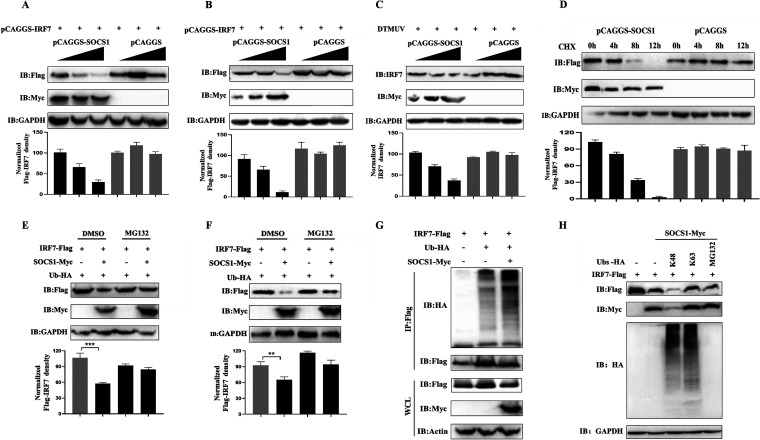 FIG 4