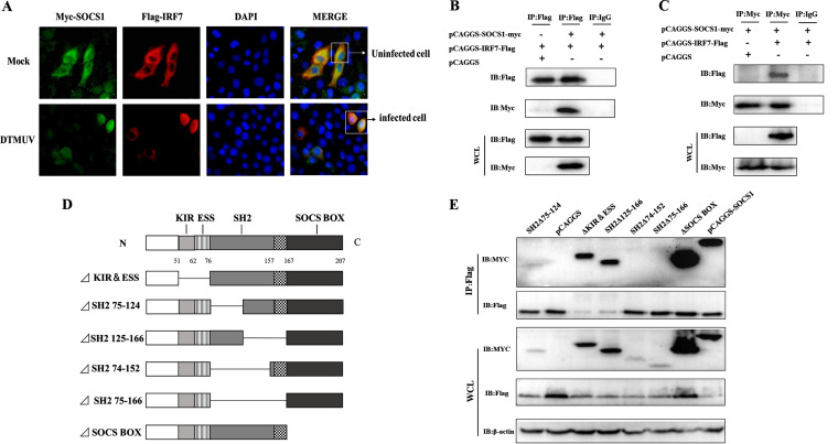 FIG 3