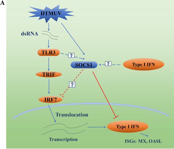 FIG 1