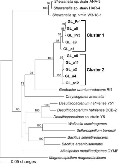 FIG. 5.