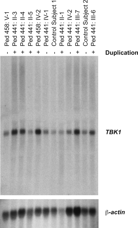 Figure 4.