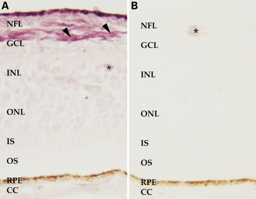 Figure 5.