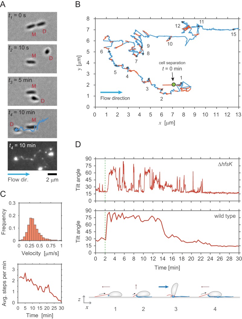 FIG 3