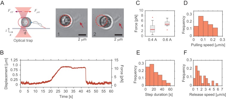 FIG 4