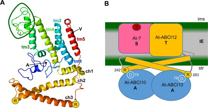 FIGURE 9