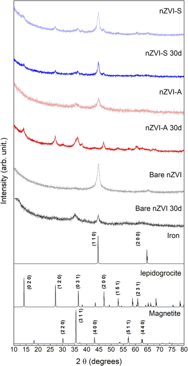 FIGURE 2