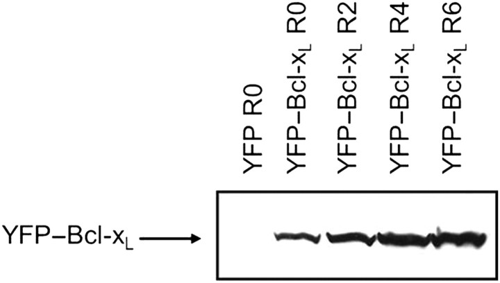 Fig. 7.