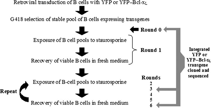 Fig. 4.