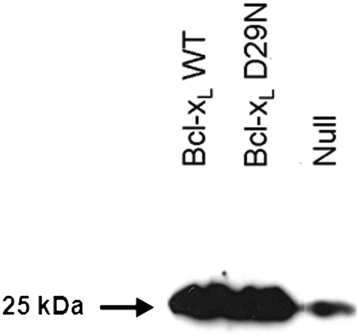 Fig. 8.