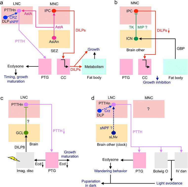 Fig. 11