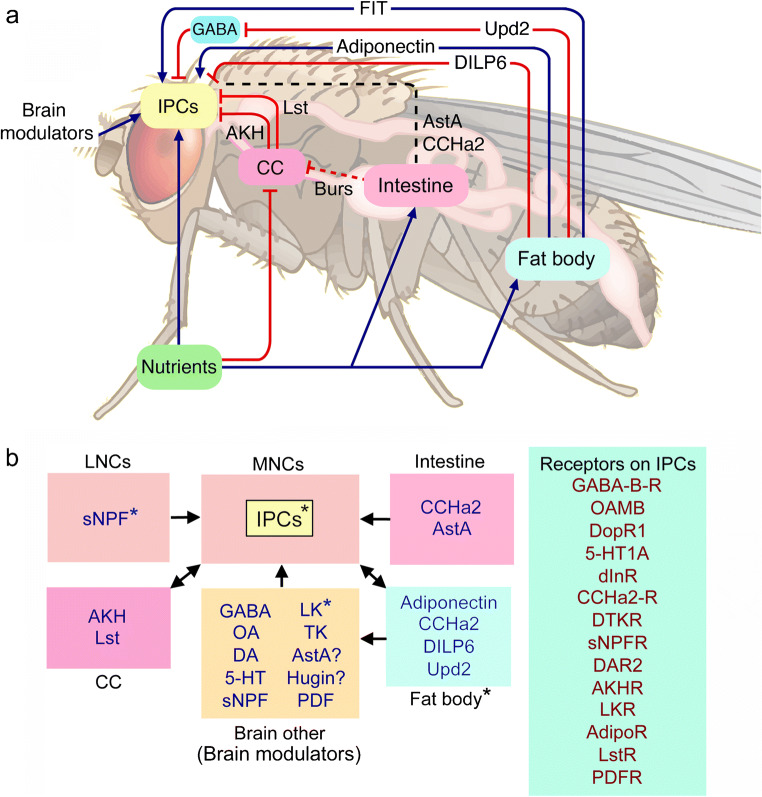 Fig. 4