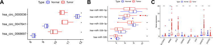 Figure 7