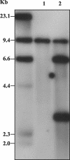 FIG. 7.