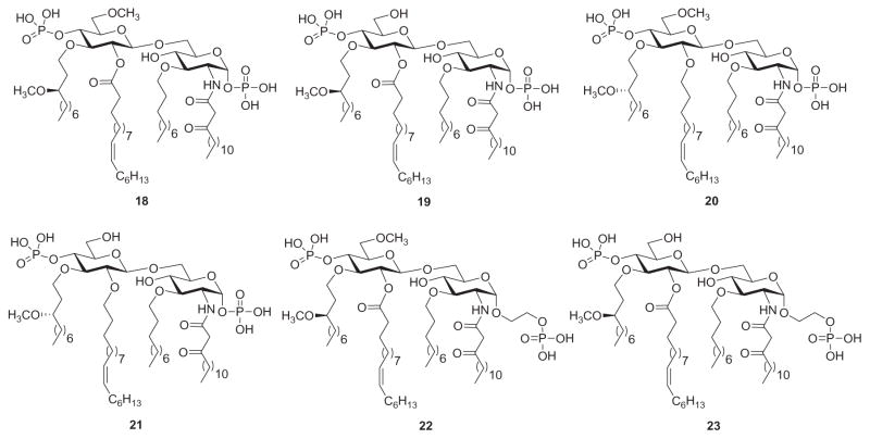 Fig. 8