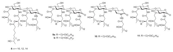 Fig. 5