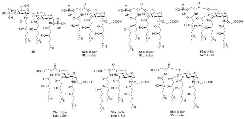 Fig. 12