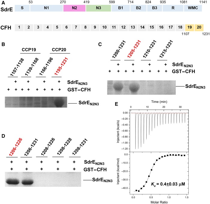 Figure 1.