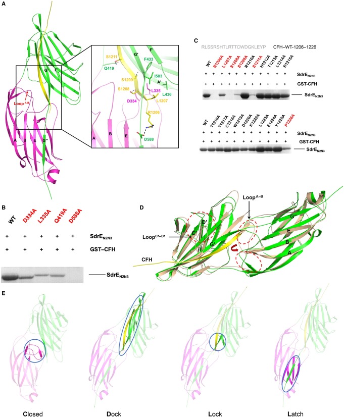 Figure 3.