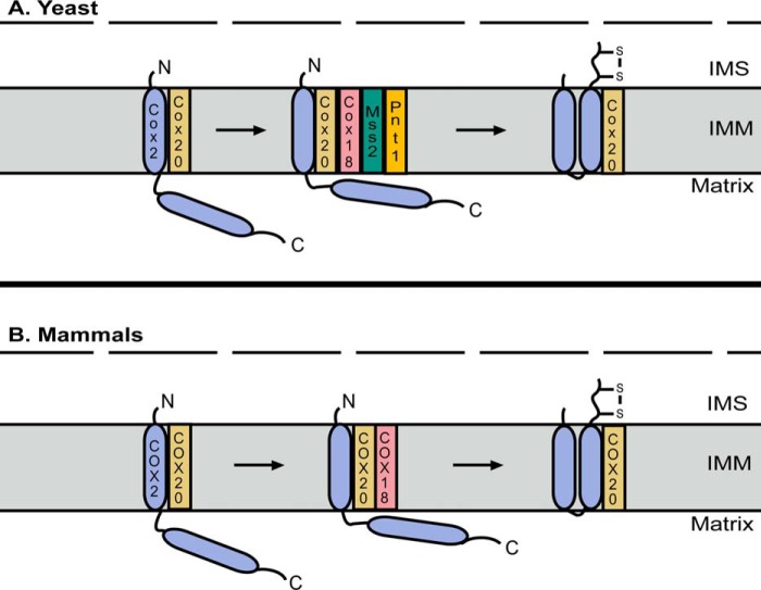 Figure 2.