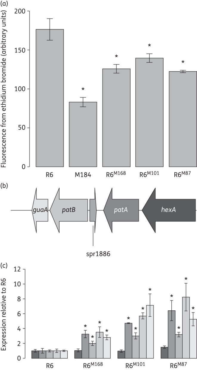 Figure 1.