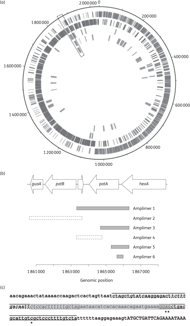 Figure 2.