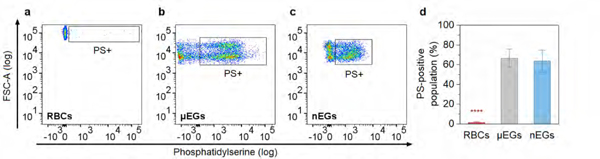 Figure 9.