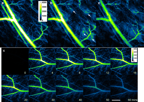 Figure 5.