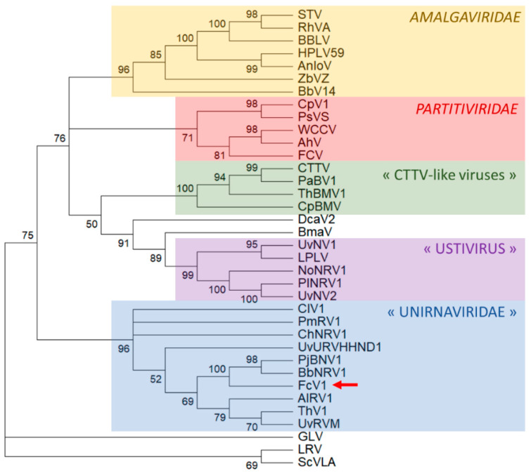 Figure 6