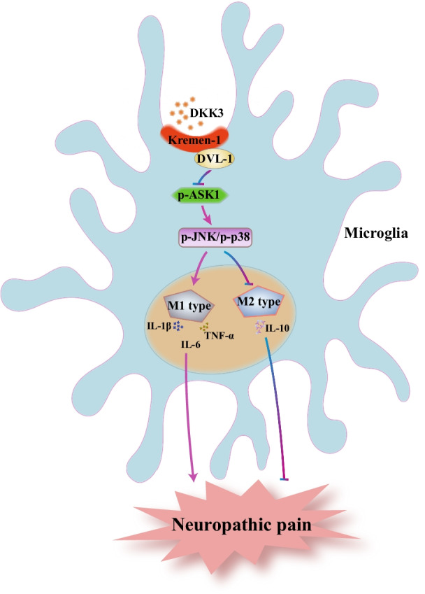 Fig. 11