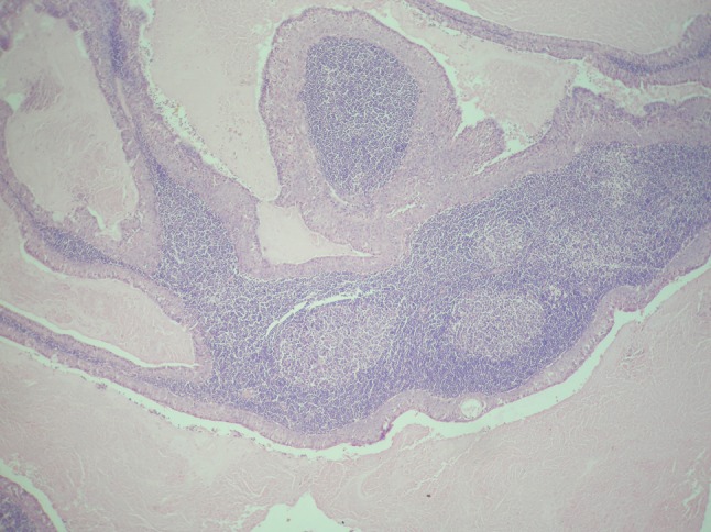 Fig. 9